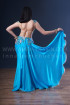 Professional bellydance costume (classic 175a)